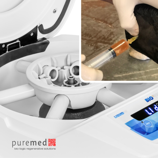 Equine PRF Sports Medicine Solution